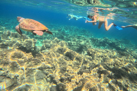 FROM PAPHOS: 1.5 HRS Glass Bottom Boat Cruise with swimming