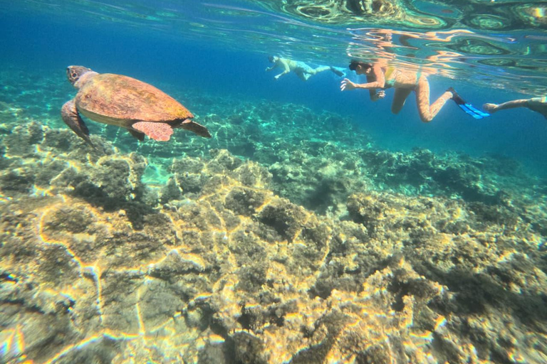 FROM PAPHOS: 1.5 HRS Glass Bottom Boat Cruise with swimming