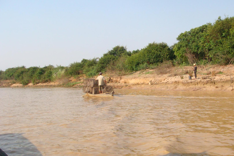 Siem Reap: Tur i liten grupp till Kulen Elephant ForestSiem Reap: Smågruppstur till Kulen Elephant Forest