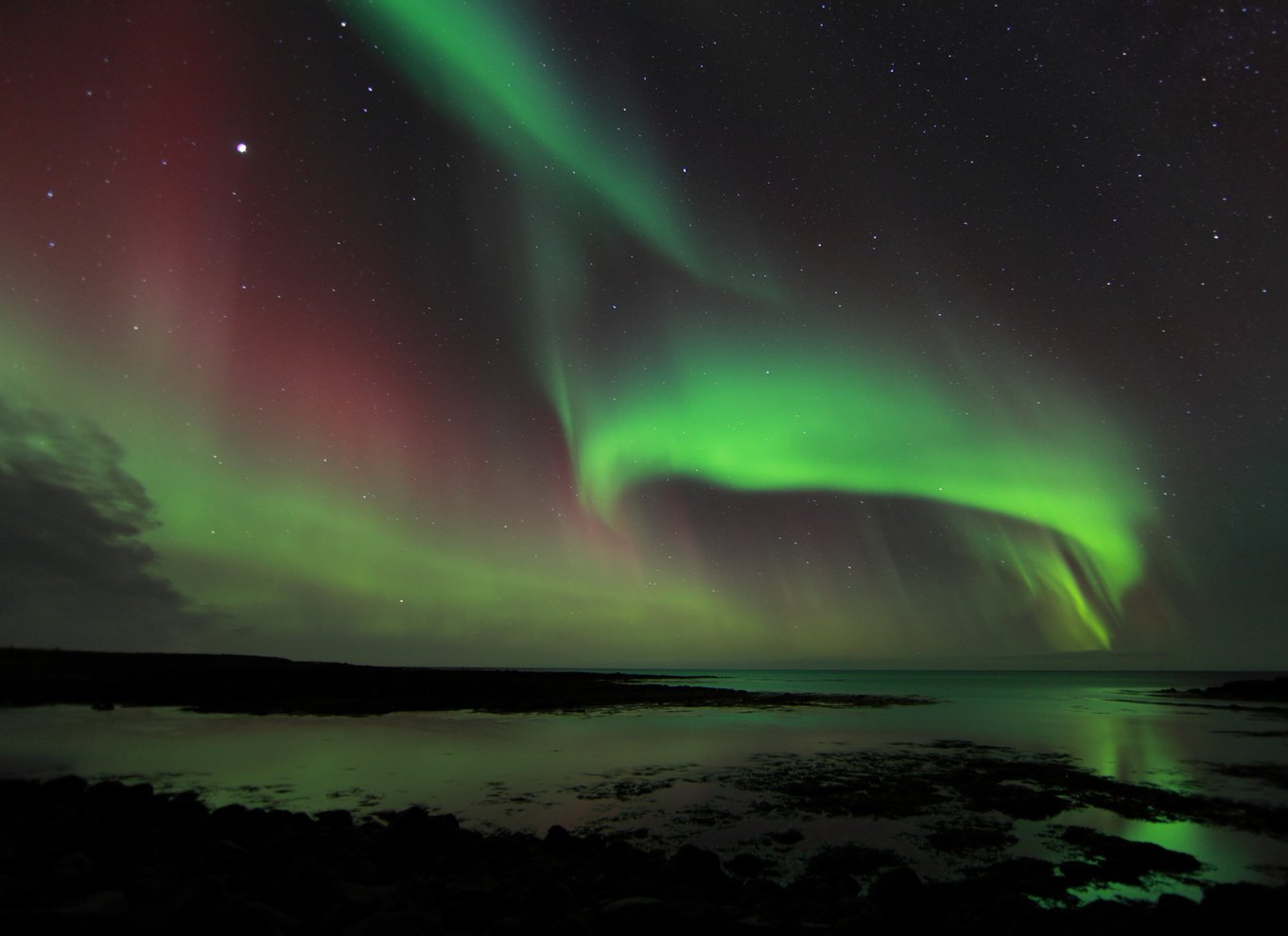 Fra Reykjavik: Nordlys-tur