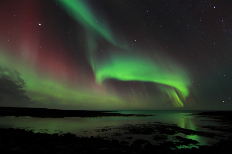 Depuis Reykjavik : nuit d'aurores boréalesVisite en groupe standard avec point de rencontre