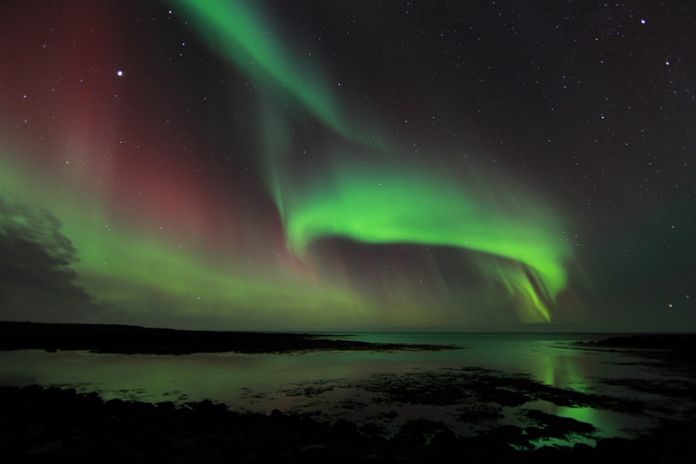 Aurora Borealis: Northern Lights Tour from Reykjavik Standard Group Tour with Meeting Point