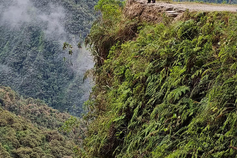 La Paz: Epic Death Road Bike Adventure