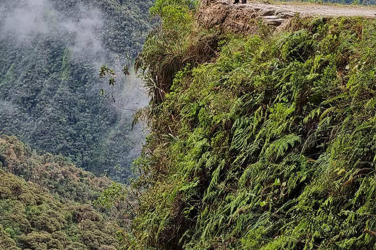 La Paz: Epic Death Road Bike Adventure