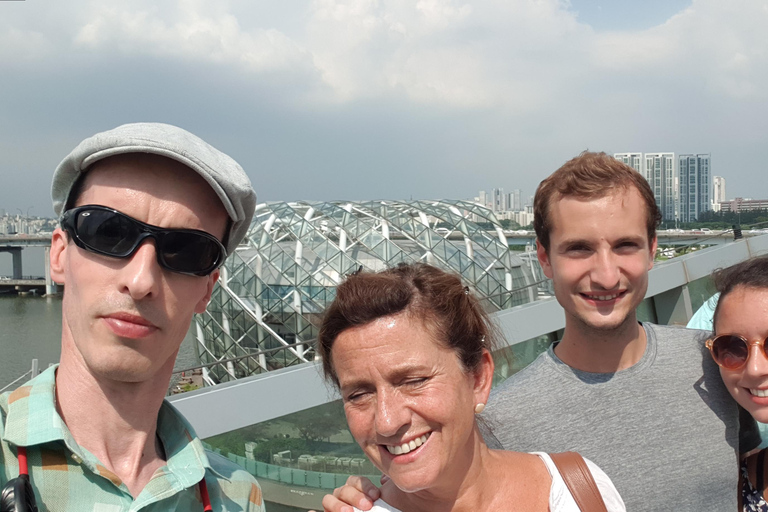Private day at your leisure in Seoul with a French-speaking guide Free day in private Seoul with English-speaking guide