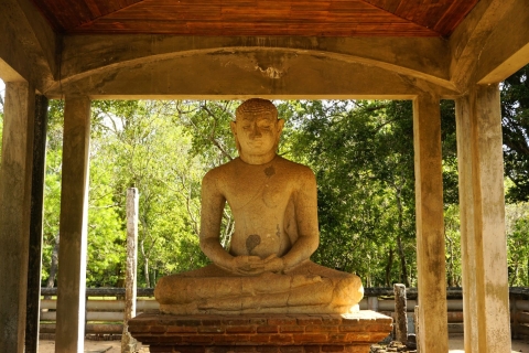 Visite privée de la ville ancienne d'Anuradhapura (journée)