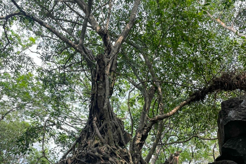 Siem Reap: Airport Pickup, Beng Mealea, Pink Temple & Sunset