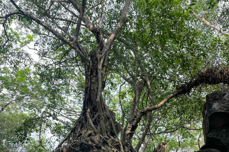 Siem Reap: Airport Pickup, Beng Mealea, Pink Temple & Sunset