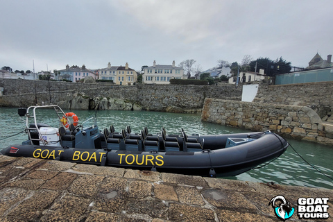 Dublín: tour en barco por la historia y la fauna con comentarios en directo