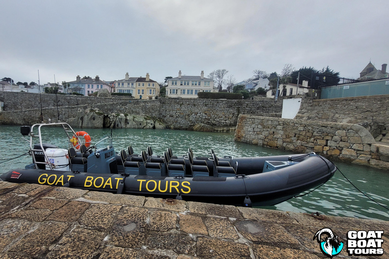 Dublín: tour en barco por la historia y la fauna con comentarios en directo