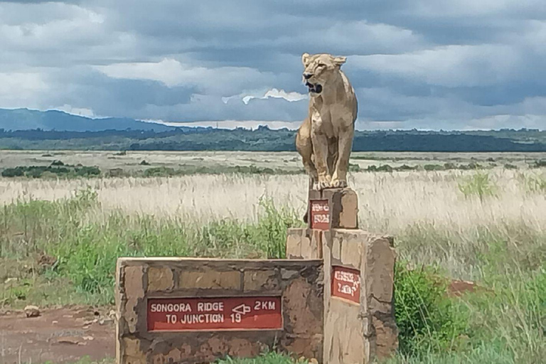 Parc national de Nairobi dans la ville de Nairobi.