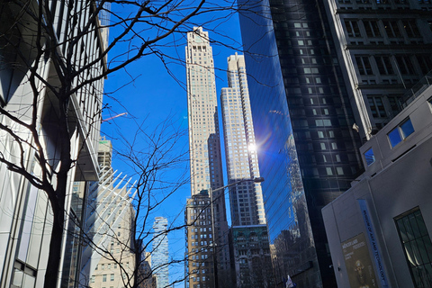 NYC: 9/11 Memorial, Wall Street, and Seaport Guided Tour French