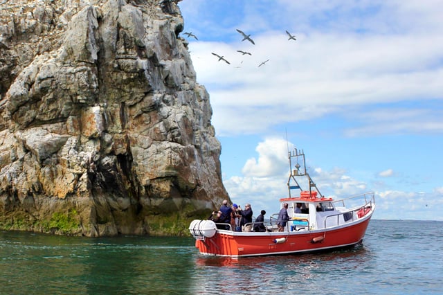 Dublin: Howth Coastal Boat Tour