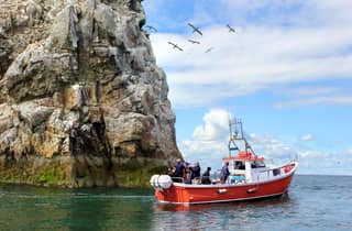 Dublin: Howth Coastal Boat Tour