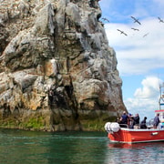 Dublin: Howth Coastal Boat Tour Dublin: Howth Coastal Boat Tour
