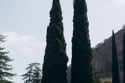 جلسة تصوير احترافية في تبليسي — صور شخصية، للأزواج والعائلاتالتقاط صور قصة الحب