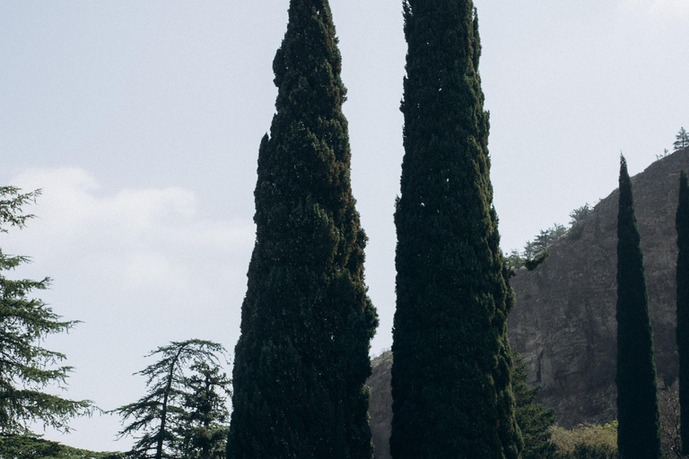 جلسة تصوير احترافية في تبليسي — صور شخصية، للأزواج والعائلاتالتقاط صور قصة الحب