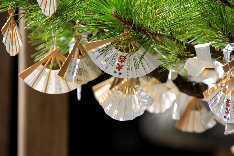 Osaka/Kyoto: Amanohashidate & Ine Funaya & Ine Bay Day Tour Excludes Cable Car & Cruise: 8:00AM Osaka