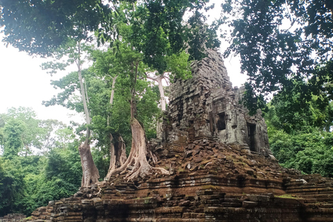 Siem Reap: tour guidato della città di Angkor Thom di 4 ore