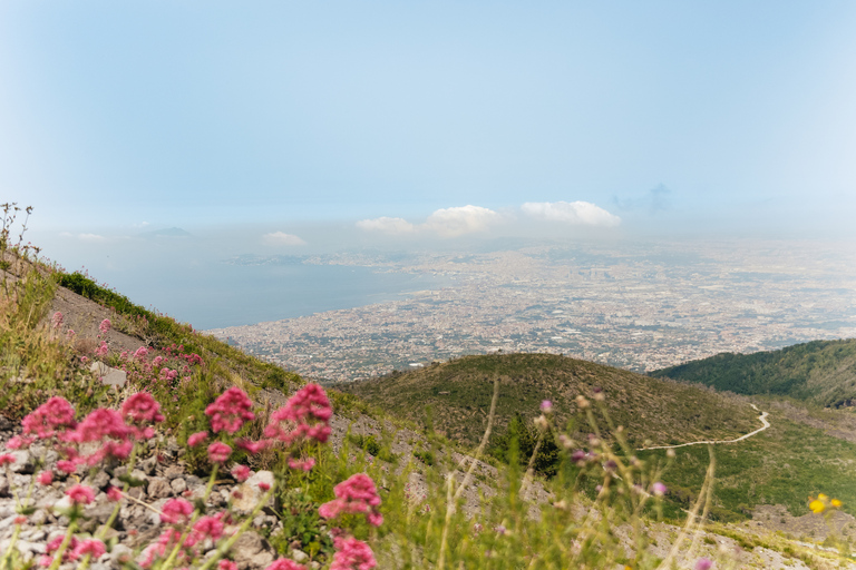 Vanuit Rome: Dagtrip Pompeii en de Vesuviusberg met lunchPompeii & Vesuvius met kegelwandeling