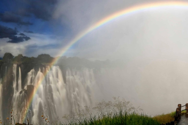 Victoria Watervallen: Falls rondleiding door lokale bevolkingOpen einde bij rainforest café