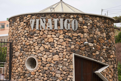 Tenerife: Guided tour with tasting of 6 wines