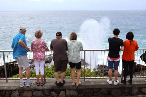 Oahu: Circle Island Tour on a full day or two half days NORTH LOOP - Half-Day: North Shore and Island Flavors.