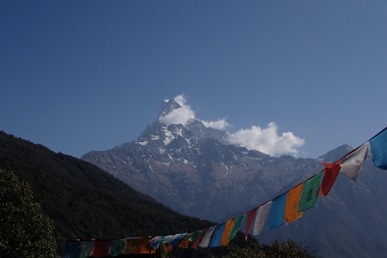 Från Katmandu: 8-dagars Mardi Himal Trek med transfer