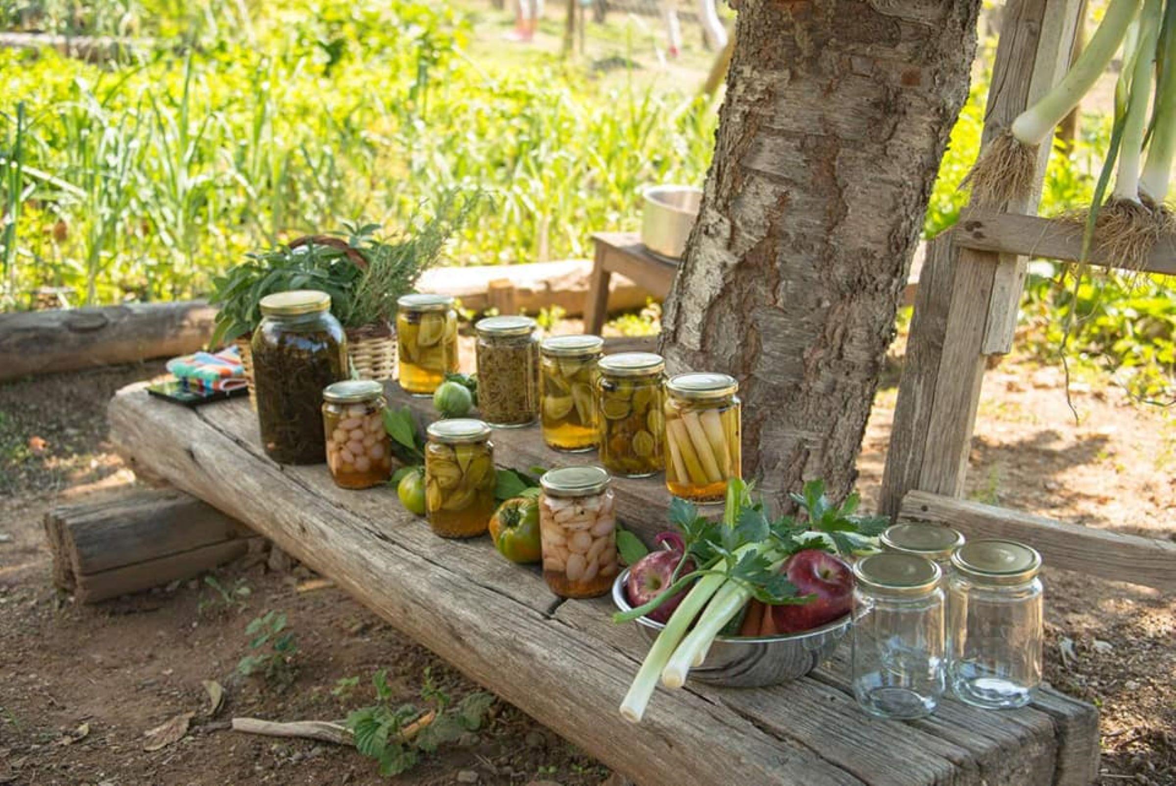 Privates Naturerlebnis Pelion: Kochen vom Bauernhof bis zum Tisch