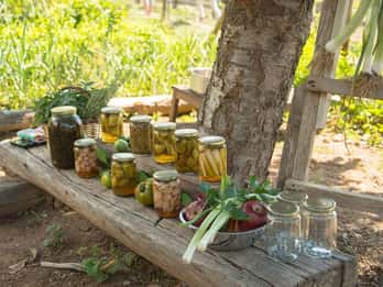 Pelion Private Nature Experience : Farm-to-Table Cooking