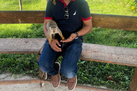 Puerto Plata: Watching Wild Primates and Botanical Hiking