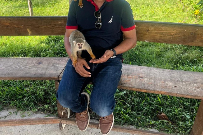 Puerto Plata: Watching Wild Primates and Botanical Hiking