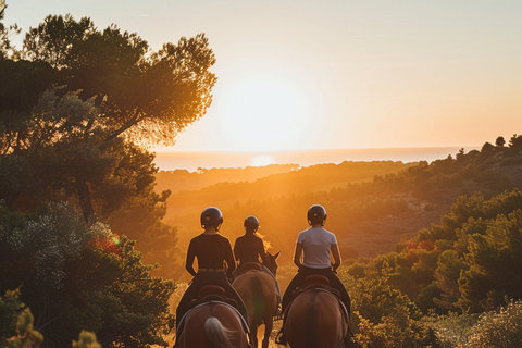 Ibiza: Private Horseback Riding Adventure for All Levels