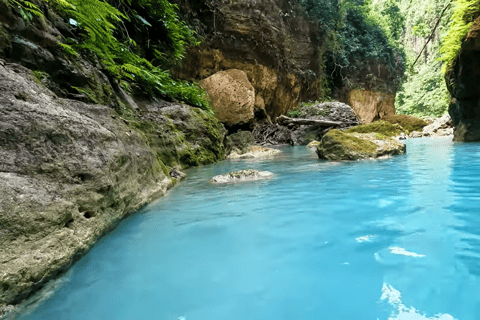 Cebu : Excursion en groupe à Oslob Whaleshark et Canyoneering avec déjeuner