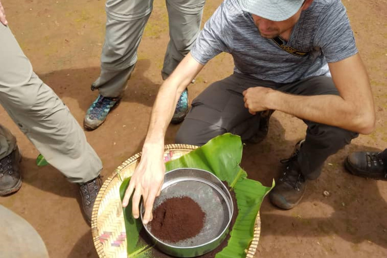 Tagestour zu den Materuni Wasserfällen $ Coffee Tour mit Mittagessen