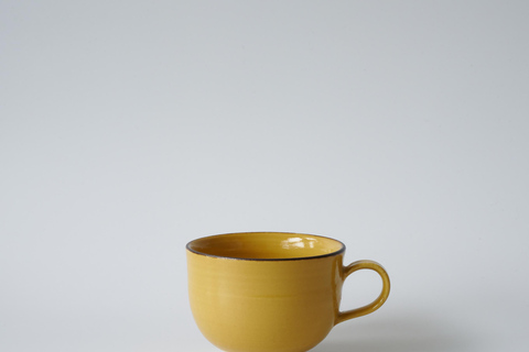Kyoto: Throw Your Original Dish on Pottery Wheel