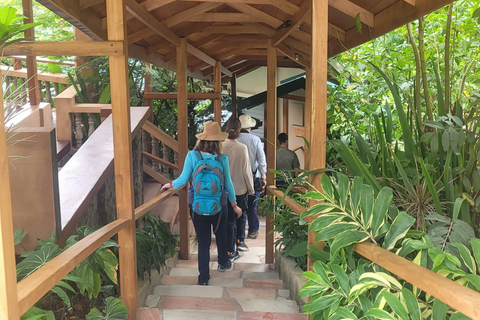 Trinidad: Experiencia en el Santuario de Aves del Centro Natural Asa Wright