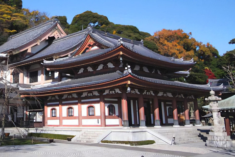 Tokyo, Mt. Fuji, Kyoto, Osaka: 7-Day Private Tour of Japan