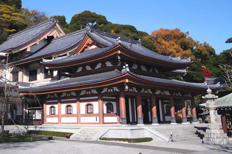 Tokyo, Mt. Fuji, Kyoto, Osaka: 7-Day Private Tour of Japan