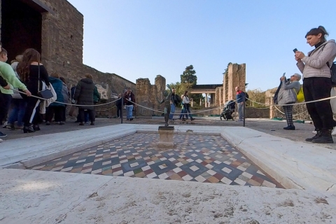 From Sorrento: Pompeii and Vesuvius Guided Tour with Lunch