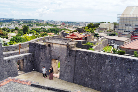 Naha: Shurijo Castle & Tamaudun Guided Walking Tour Morning visit