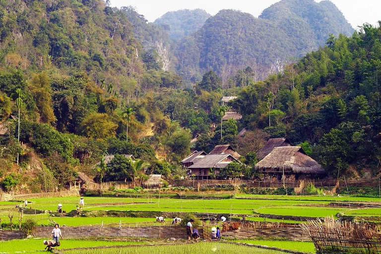 FRÅN HA NOI: UTFORSKA PU LUONG DAGSUTFLYKT