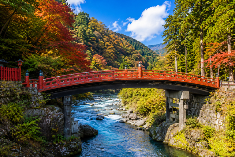 Tokyo: Nikko World Heritage & Nature Private Customized Tour