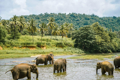 Ella to Anywhere: Private Scenic Journey & Flexible Stops Private Car with Driver – Up to 125 km (Island-wide)