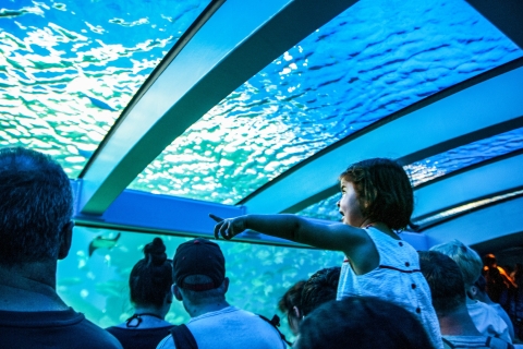 Mallorca : Billet d'entrée à l'aquarium de Palma avec cinéma 3D