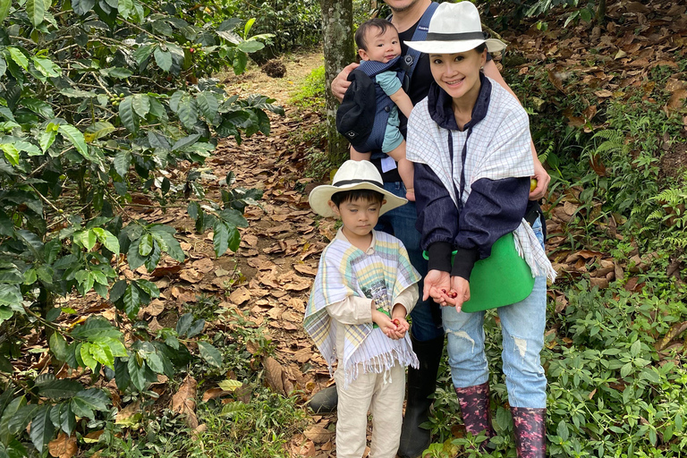 From Medellín: Half Day Private Coffee Tour