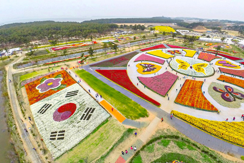 Seoul: Taean Tulip Festival and Strawberry Picking Day Tour Shared Tour, Meet at Dongdaemun