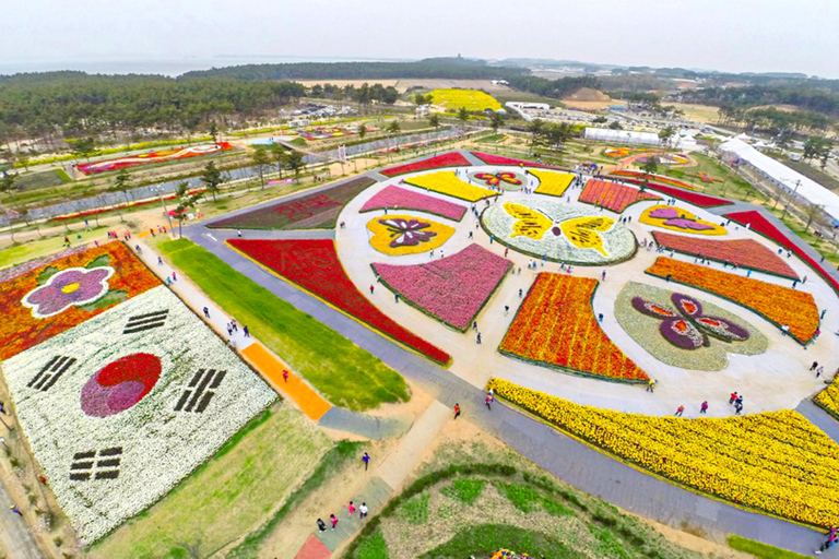 Seoul: Taean Tulip Festival and Strawberry Picking Day Tour Shared Tour, Meet at Dongdaemun