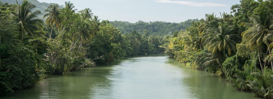 Bohol : Visite privée de la campagne avec déjeuner buffet