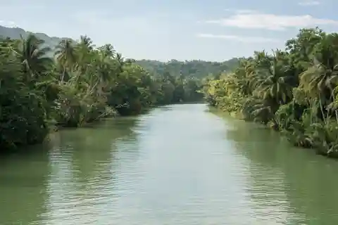 Bohol : Visite privée de la campagne avec déjeuner buffet
